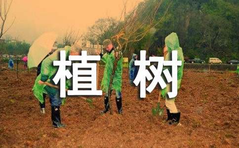 植树日记范文集锦七篇