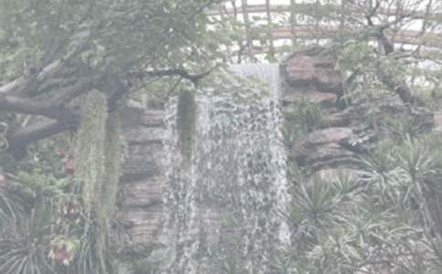 ֲ��԰�ۺ�С�����15ƪ��