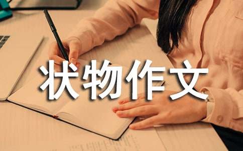 实用的五年级状物作文九篇