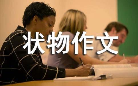 ���꼶״������(����10ƪ)