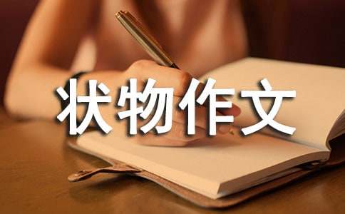 初一状物作文300字汇编七篇