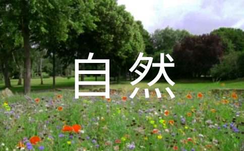 ����Ȼ֮������ѧ���15ƪ���ر���