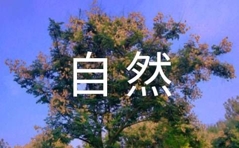 《自然之道》说课稿优秀