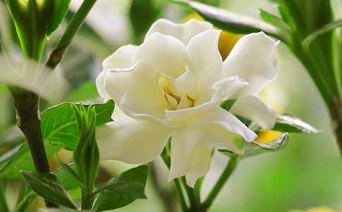 �����ӻ���ʱ�������