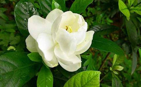 ���ӻ���������