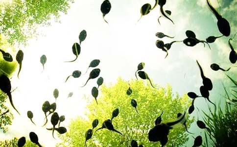 ���Ƽ���С���������̰��ϼ���ƪ