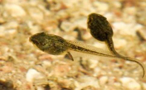 С����������ѧ��˼15ƪ