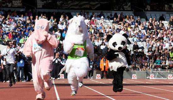 【精品】五年级运动会作文4篇