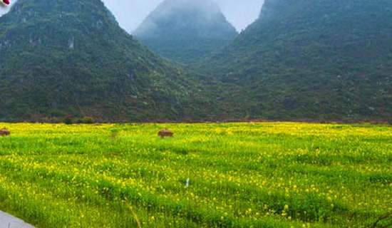 ����һ�꼶��������300�ֺϼ���ƪ